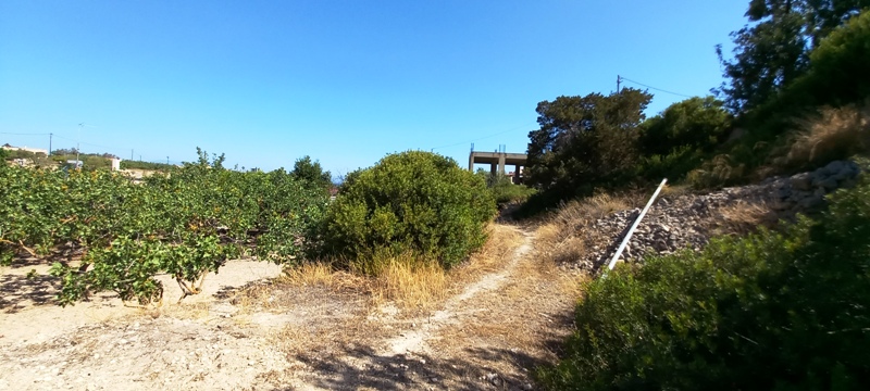 ΛΕΟ3