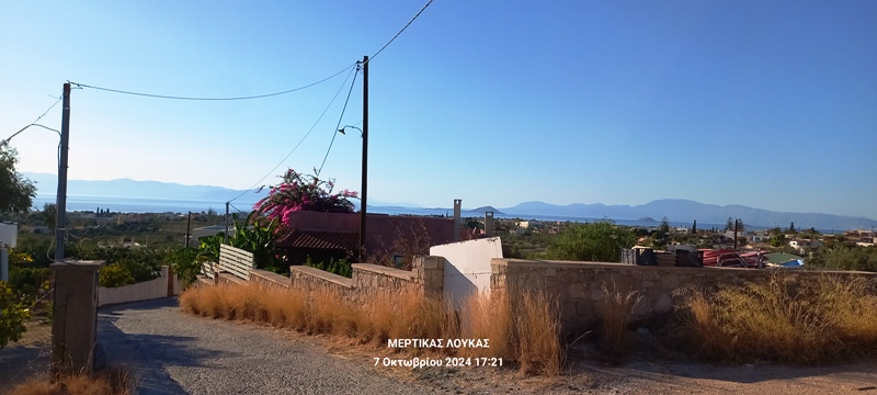ραχ4