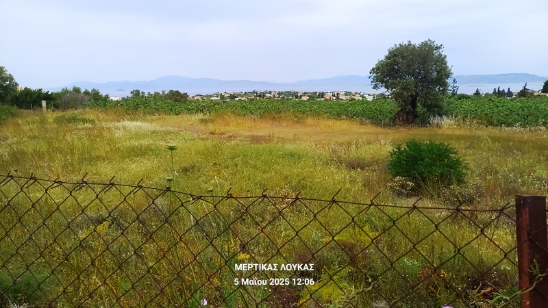 κυψ1