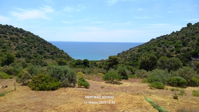 πορ8