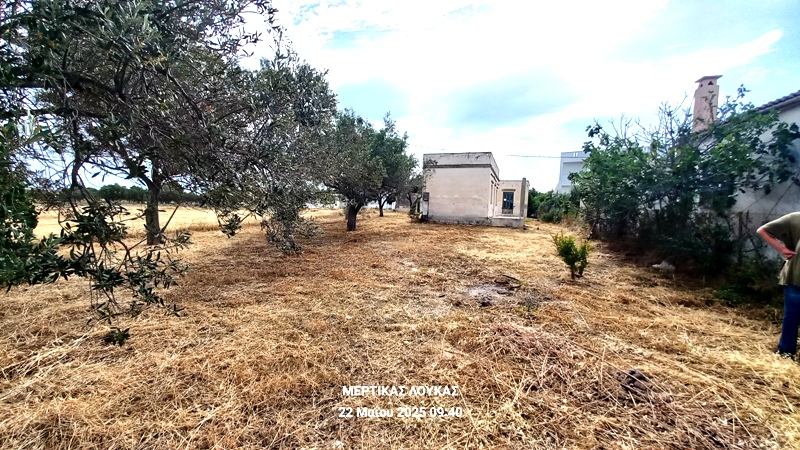λεο1