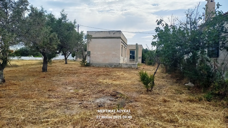 λεο2